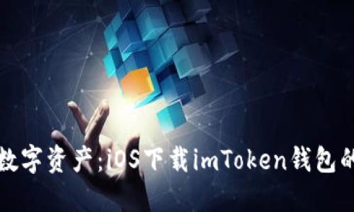 轻松掌握数字资产：iOS下载imToken钱包的完整指南