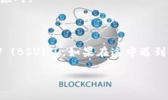 在Tokenim 2.0中添加Bitcoin SV (BSV)的步骤可以概述如