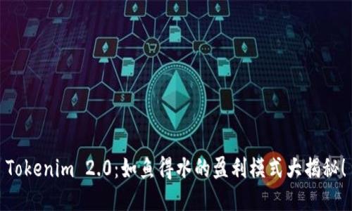 Tokenim 2.0：如鱼得水的盈利模式大揭秘！