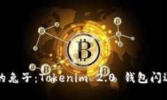 如同一只受惊的兔子：Tokenim 2.0 钱包闪退问题解