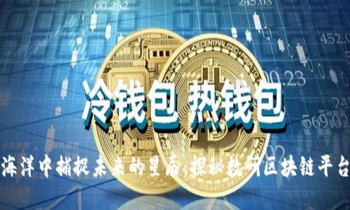 如同在数字海洋中捕捉未来的星辰：探秘数研区块链平台的无限可能