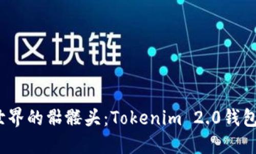 btiaoti解锁加密世界的骷髅头：Tokenim 2.0钱包与OKB的完美结合