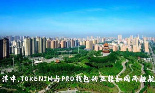 在区块链的海洋中，TOKENIM与PRO钱包的互转如同两艘航船的诗意交汇