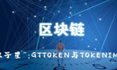 数字货币中的“双子星”：GTTOKEN与TOKENIM 2.0的精