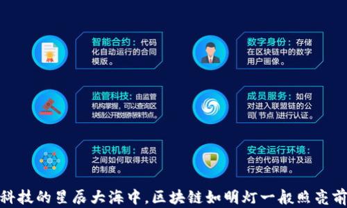 
在金融科技的星辰大海中，区块链如明灯一般照亮前行之路