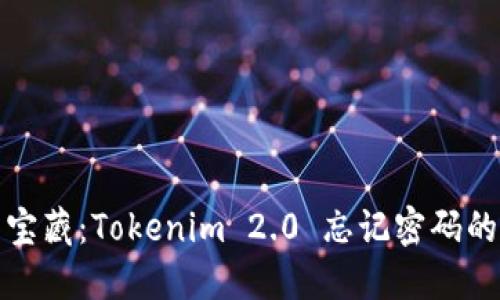 像捡到的宝藏：Tokenim 2.0 忘记密码的寻宝指南