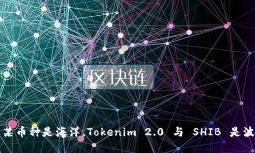 想象一下：如果某币种是海洋，Tokenim 2.0 与 SHIB 是波涛汹涌的浪花！