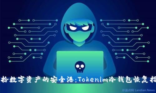 重拾数字资产的安全港：Tokenim冷钱包恢复指南