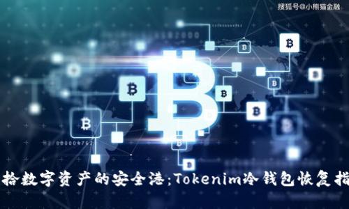 重拾数字资产的安全港：Tokenim冷钱包恢复指南