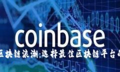 驾驭区块链浪潮：选择最佳区块链平台的指南
