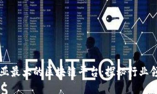 东南亚最大的区块链平台：探秘行业领军者