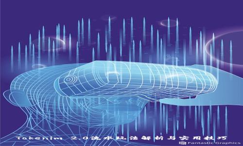 Tokenim 2.0流水玩法解析与实用技巧
