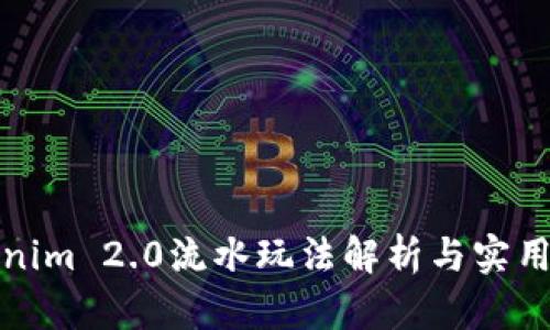 Tokenim 2.0流水玩法解析与实用技巧