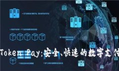 深入解析Token Pay：安全、快速的数字支付解决方