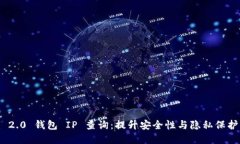 Tokenim 2.0 钱包 IP 查询：提升安全性与隐私保护的