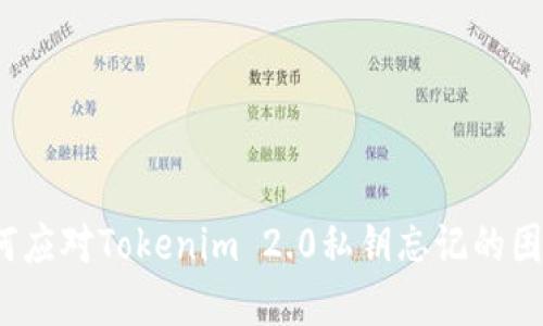 如何应对Tokenim 2.0私钥忘记的困境？
