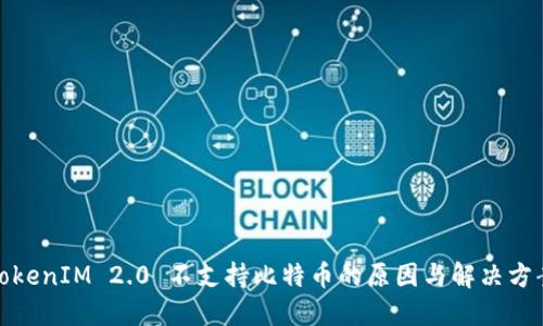 TokenIM 2.0 不支持比特币的原因与解决方案